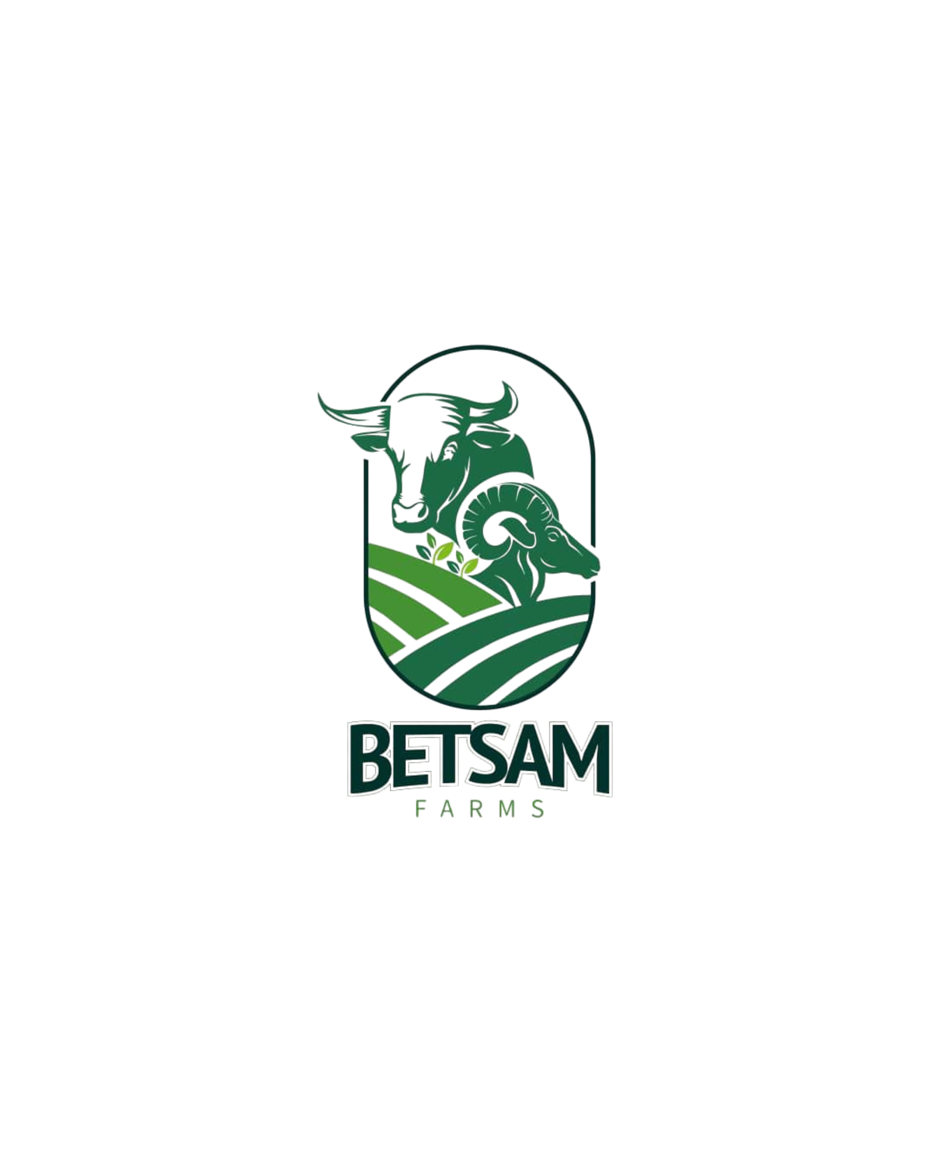 Betsam Logo